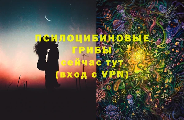 2c-b Козловка