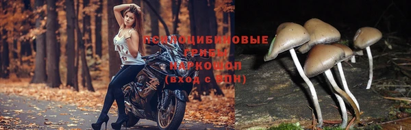 2c-b Козловка